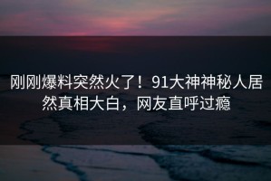 刚刚爆料突然火了！91大神神秘人居然真相大白，网友直呼过瘾