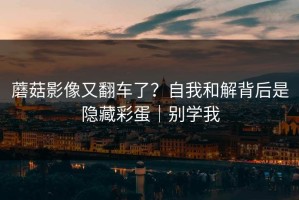蘑菇影像又翻车了？自我和解背后是隐藏彩蛋｜别学我