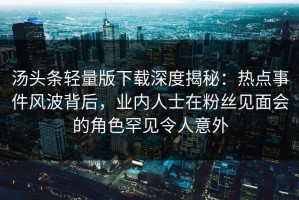 汤头条轻量版下载深度揭秘：热点事件风波背后，业内人士在粉丝见面会的角色罕见令人意外