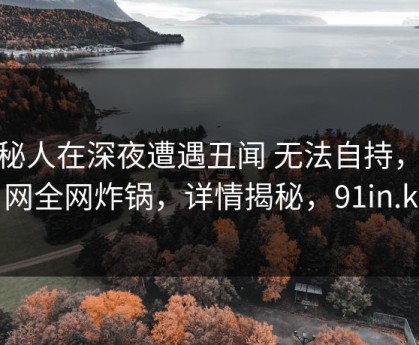 神秘人在深夜遭遇丑闻 无法自持，91网全网炸锅，详情揭秘，91in.k