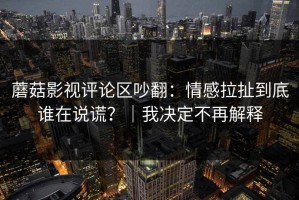 蘑菇影视评论区吵翻：情感拉扯到底谁在说谎？｜我决定不再解释